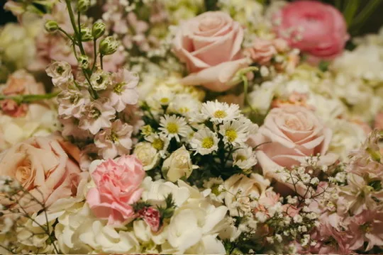 Close view of an arrangement of pink and cream roses with small white daisies filling the gaps between them.